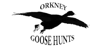 Orkney Goose Hunts