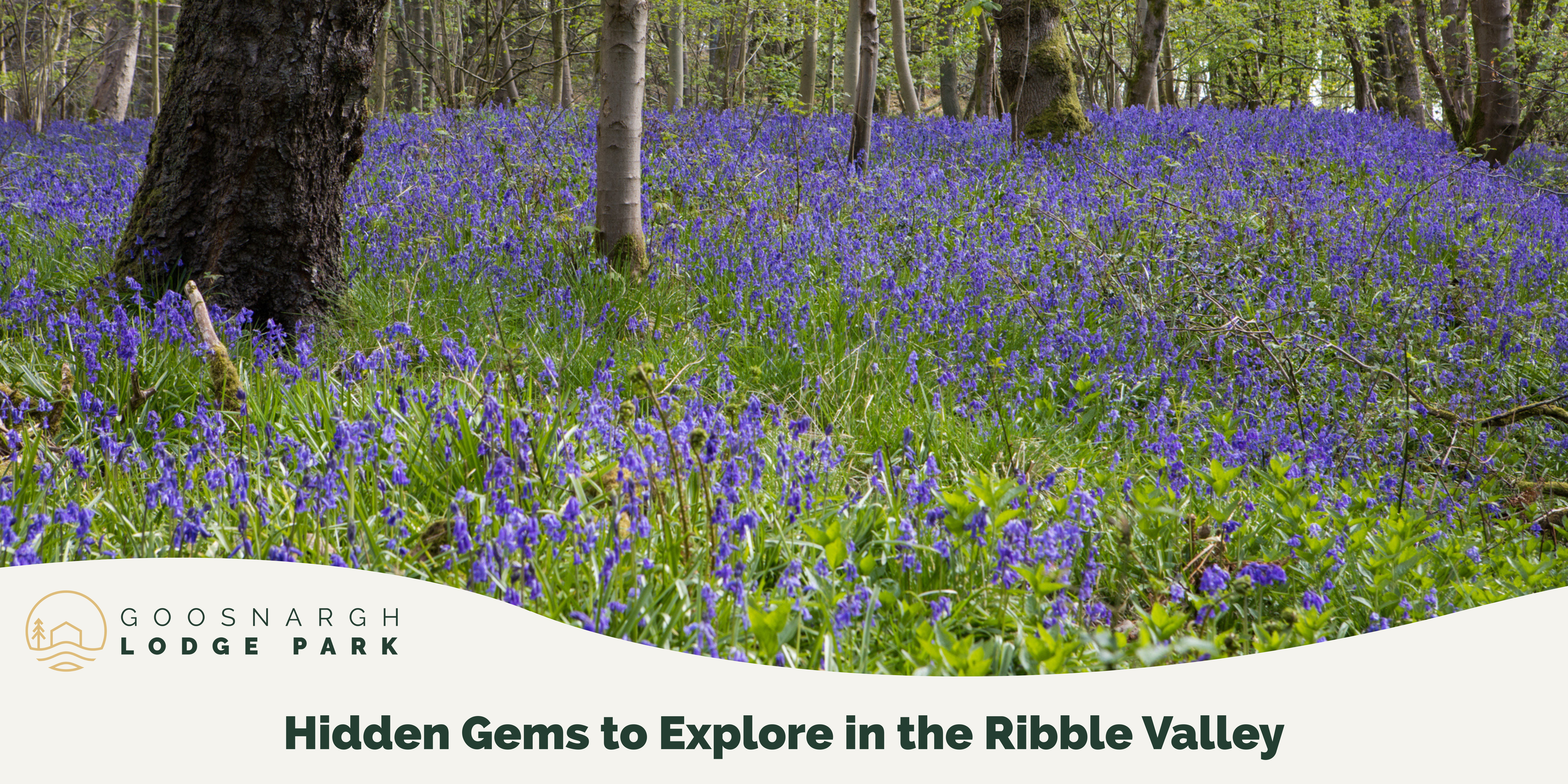 blog image hidden gems and viewpoints