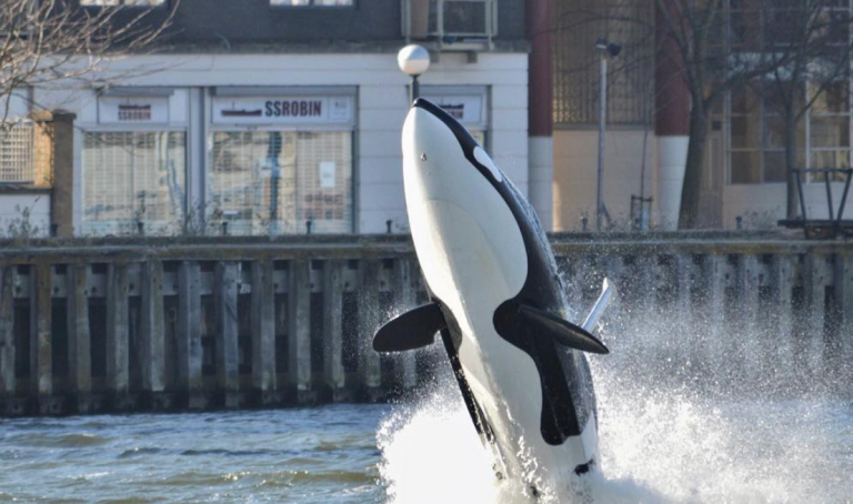 Predator Adventures Seabreacher Experience